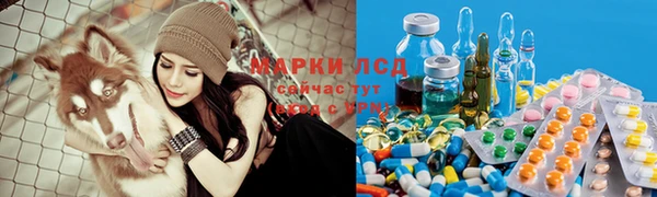 молекула духа Нефтекумск