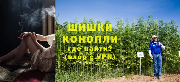 винт Нея
