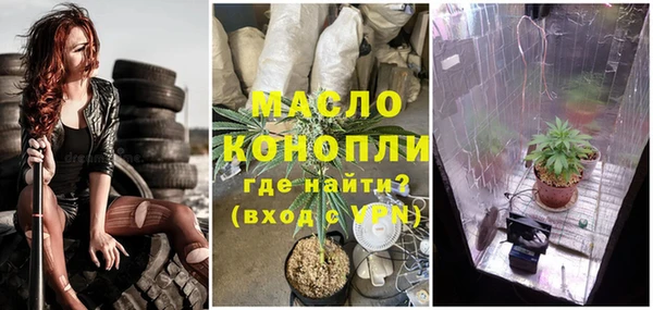 стаф Надым