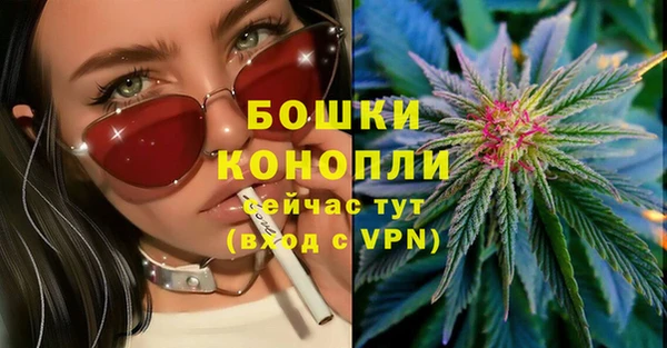 винт Нея