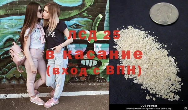 винт Нея